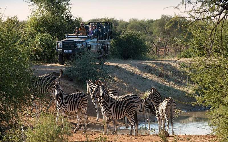 Madikwe Safari Lodge, Madikwe Game Reserve, South Africa