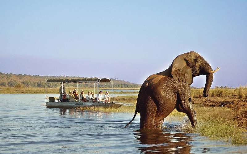 Botswana 8 Day Safari Tour