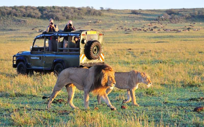 Botswana 8 Day Safari Tour