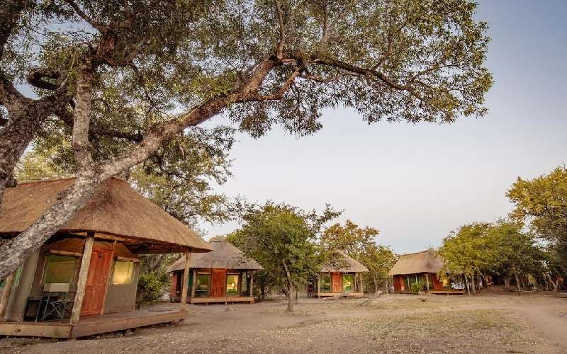shindzela tented safari camp timbavati